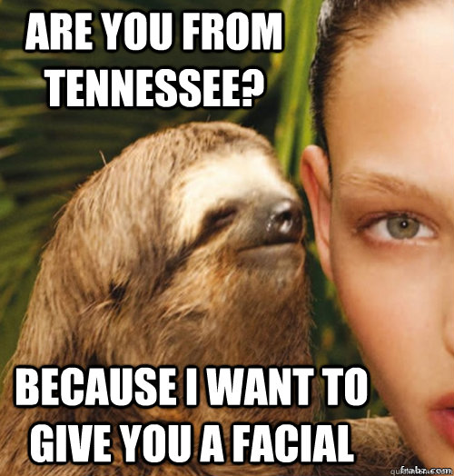 Are you from tennessee? Because I want to give you a facial  rape sloth