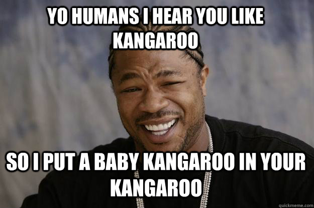 Yo humans i hear you like kangaroo So I put a baby kangaroo in your kangaroo  Xzibit meme