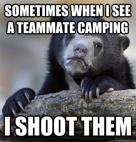 sometimes when i see a teammate camping i shoot them - sometimes when i see a teammate camping i shoot them  Confession Bear