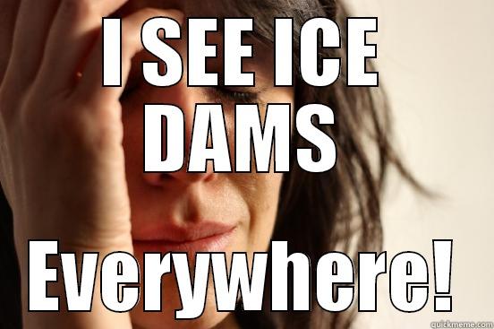 I SEE ICE DAMS EVERYWHERE! First World Problems