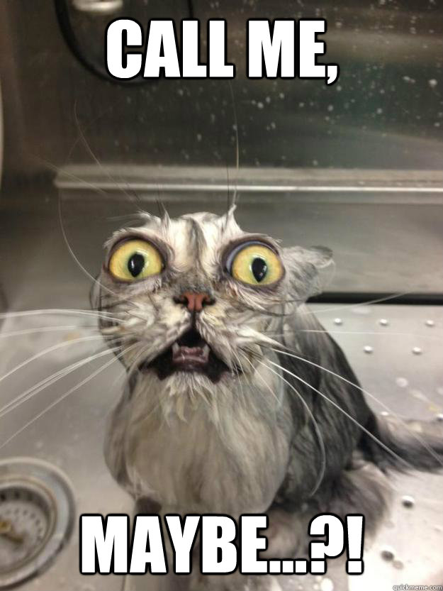 CALL ME, MAYBE...?!  cat meth