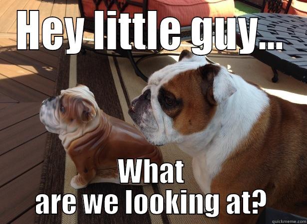 HEY LITTLE GUY... WHAT ARE WE LOOKING AT? Misc