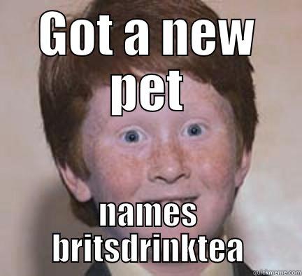 GOT A NEW PET NAMES BRITSDRINKTEA Over Confident Ginger