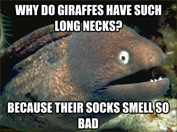 why do giraffes have such long necks? Because their socks smell so bad  Bad Joke Eel