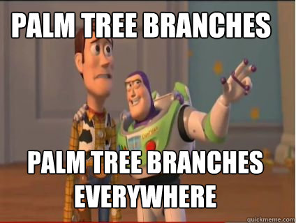 Palm Tree Branches Palm tree branches  everywhere - Palm Tree Branches Palm tree branches  everywhere  woody and buzz