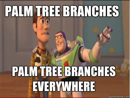 Palm Tree Branches Palm tree branches  everywhere  woody and buzz