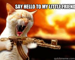 Say hello to my little friend - Say hello to my little friend  Scarface cat
