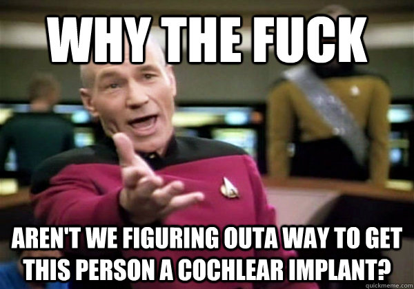 Why the fuck aren't we figuring outa way to get this person a cochlear implant?  Why The Fuck Picard