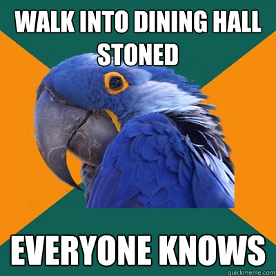 walk into dining hall stoned everyone knows  Paranoid Parrot