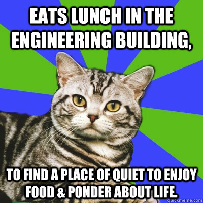 Eats lunch in the engineering building, To find a place of quiet to enjoy food & ponder about life. - Eats lunch in the engineering building, To find a place of quiet to enjoy food & ponder about life.  Introvert Cat