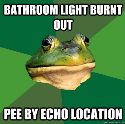 Bathroom light burnt out pee by echo location   Foul Bachelor Frog