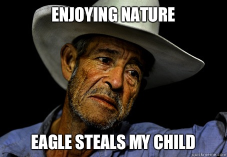 Enjoying nature Eagle steals my child  Oregon Trail Problems