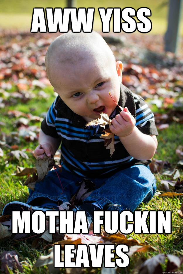 aww yiss motha fuckin leaves - aww yiss motha fuckin leaves  Misc