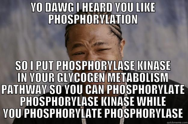 yo biochem - YO DAWG I HEARD YOU LIKE PHOSPHORYLATION SO I PUT PHOSPHORYLASE KINASE IN YOUR GLYCOGEN METABOLISM PATHWAY SO YOU CAN PHOSPHORYLATE PHOSPHORYLASE KINASE WHILE YOU PHOSPHORYLATE PHOSPHORYLASE Xzibit meme