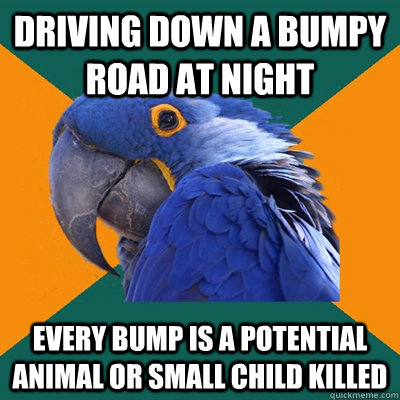 Driving down a bumpy road at night Every bump is a potential animal or small child killed  Paranoid Parrot