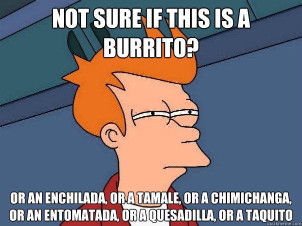 Not sure if this is a burrito?  Or an enchilada, or a tamale, or a chimichanga, or an Entomatada, or a Quesadilla, or a Taquito  Futurama Fry