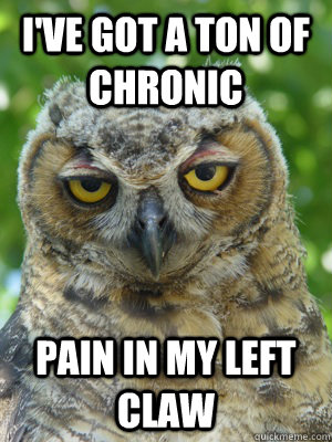 I've got a ton of chronic pain in my left claw - I've got a ton of chronic pain in my left claw  Stoner Owl