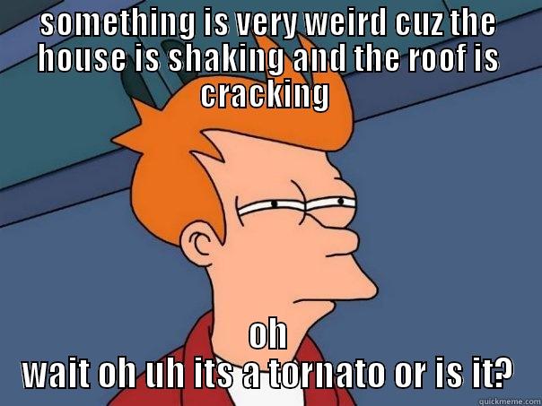 SOMETHING IS VERY WEIRD CUZ THE HOUSE IS SHAKING AND THE ROOF IS CRACKING  OH WAIT OH UH ITS A TORNATO OR IS IT? Futurama Fry