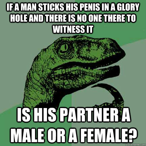If a man sticks his penis in a glory hole and there is no one there to witness it is his partner a male or a female?  Philosoraptor