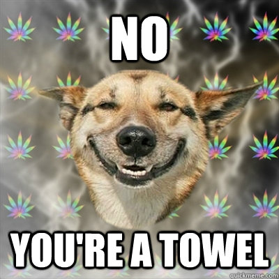 NO YOU'RE A TOWEL  Stoner Dog