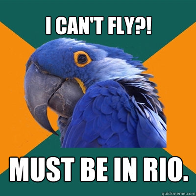 I can't fly?! Must be in Rio.  Paranoid Parrot
