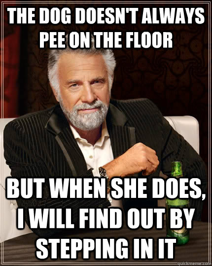 The dog doesn't always pee on the floor  But when she does, I will find out by stepping in it  The Most Interesting Man In The World