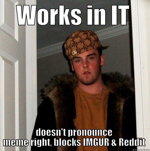 WORKS IN IT DOESN'T PRONOUNCE MEME RIGHT, BLOCKS IMGUR & REDDIT Scumbag Steve