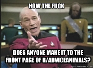 how the fuck does anyone make it to the front page of r/adviceanimals?  Annoyed Picard