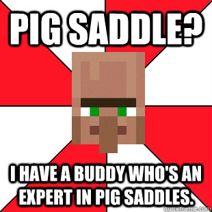 Pig Saddle? I have a buddy who's an expert in pig saddles.  Minecraft Pawn Star