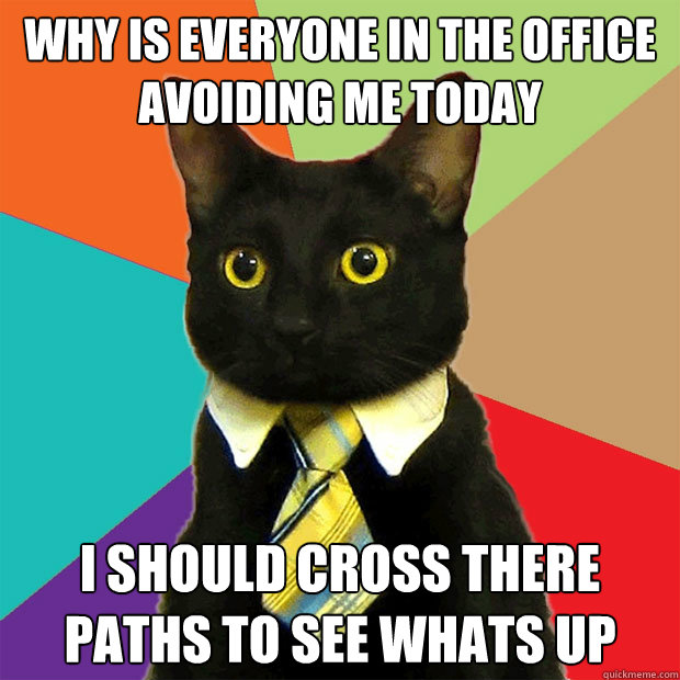Why is everyone in the office avoiding me today i should cross there paths to see whats up  Business Cat
