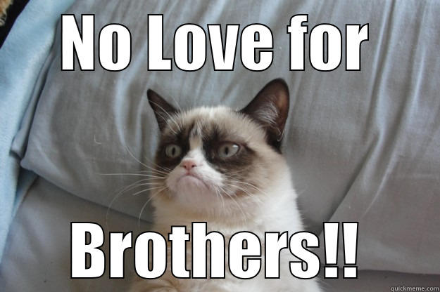 NO LOVE FOR BROTHERS!! Grumpy Cat