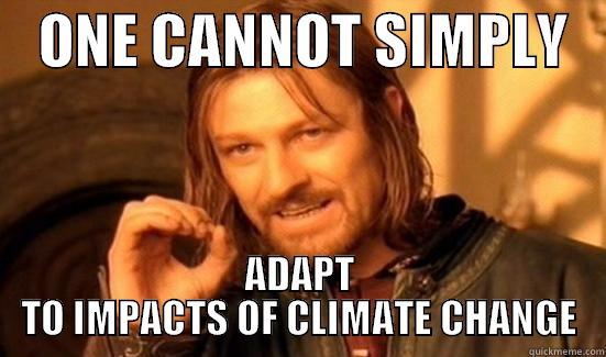    ONE CANNOT SIMPLY    ADAPT TO IMPACTS OF CLIMATE CHANGE Boromir