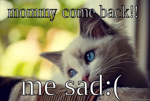 MOMMY COME BACK!! ME SAD:( First World Problems Cat