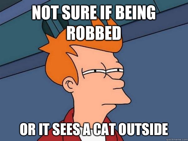 NOT SURE IF BEING ROBBED OR IT SEES A CAT OUTSIDE  Futurama Fry