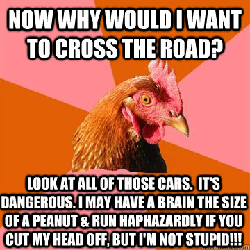 Now why would I want to cross the road? Look at all of those cars.  It's dangerous. I may have a brain the size of a peanut & run haphazardly if you cut my head off, but I'm not stupid!!!  Anti-Joke Chicken