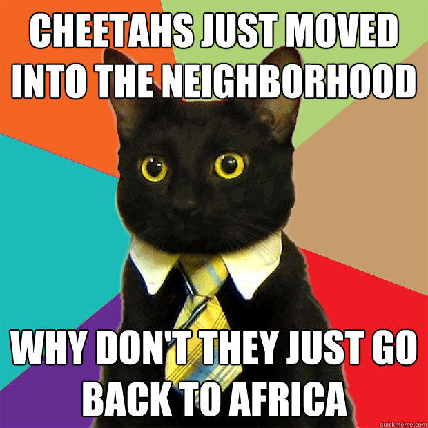 Cheetahs just moved into the neighborhood why don't they just go back to africa  Business Cat