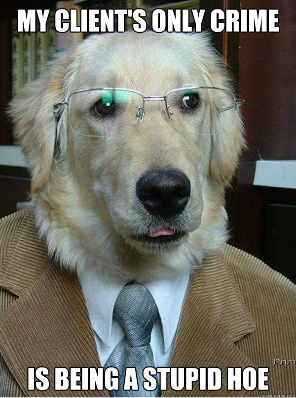 my client's only crime IS BEING A STUPID HOE  Famous Dog Lawyer