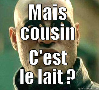 MAIS COUSIN C'EST LE LAIT ? Matrix Morpheus