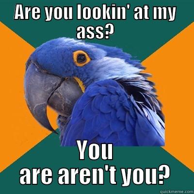 ARE YOU LOOKIN' AT MY ASS? YOU ARE AREN'T YOU? Paranoid Parrot