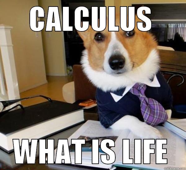 CALCULUS WHAT IS LIFE Lawyer Dog