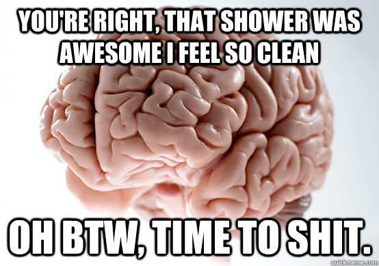 You're right, that shower was awesome i feel so clean oh btw, time to shit. - You're right, that shower was awesome i feel so clean oh btw, time to shit.  Scumbag brain on life