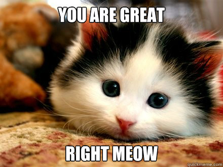 You are great right meow  Right Meow