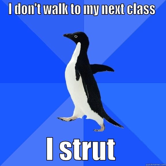 I DON'T WALK TO MY NEXT CLASS I STRUT Socially Awkward Penguin