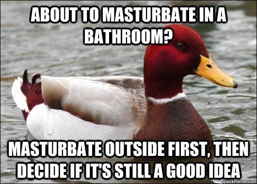 about to masturbate in a bathroom? masturbate outside first, then decide if it's still a good idea  Malicious Advice Mallard