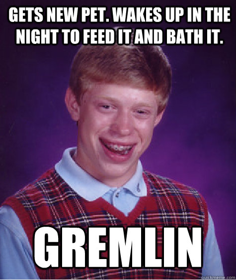 Gets new pet. Wakes up in the night to feed it and bath it. GREMLIN  Bad Luck Brian