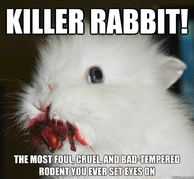 Killer Rabbit! the most foul, cruel, and bad-tempered rodent you ever set eyes on  Monty Python