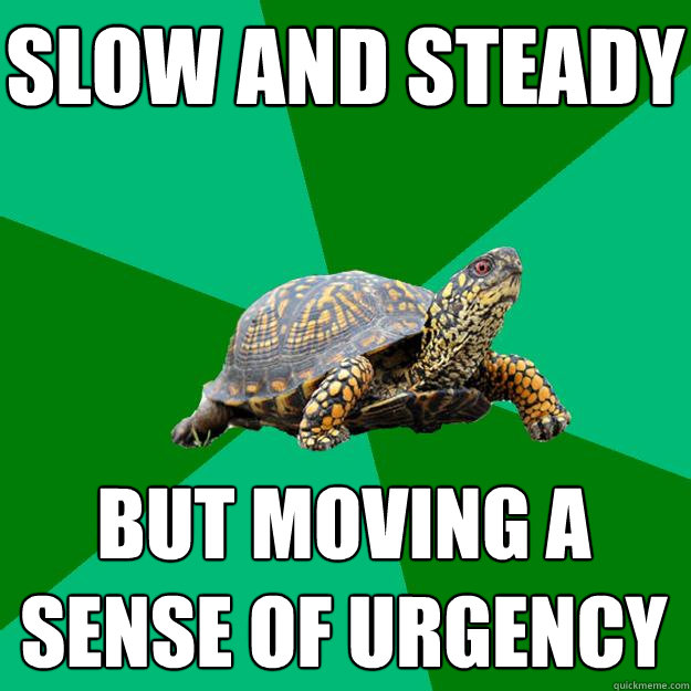SLOW AND STEADY BUT MOVING A SENSE OF URGENCY - SLOW AND STEADY BUT MOVING A SENSE OF URGENCY  Torrenting Turtle
