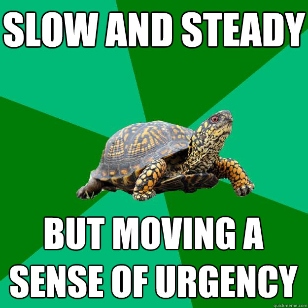 SLOW AND STEADY BUT MOVING A SENSE OF URGENCY  Torrenting Turtle