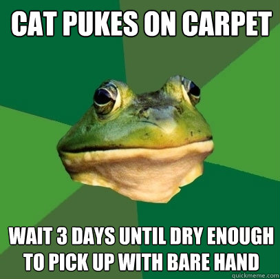 Cat pukes on carpet wait 3 days until dry enough to pick up with bare hand  Foul Bachelor Frog