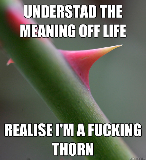 understad the meaning off life realise i'm a fucking thorn  Self Important Prick
